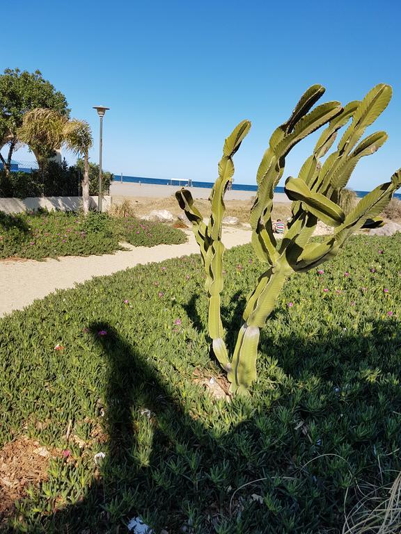 Apartment In Marina Rey Complex 维拉 外观 照片